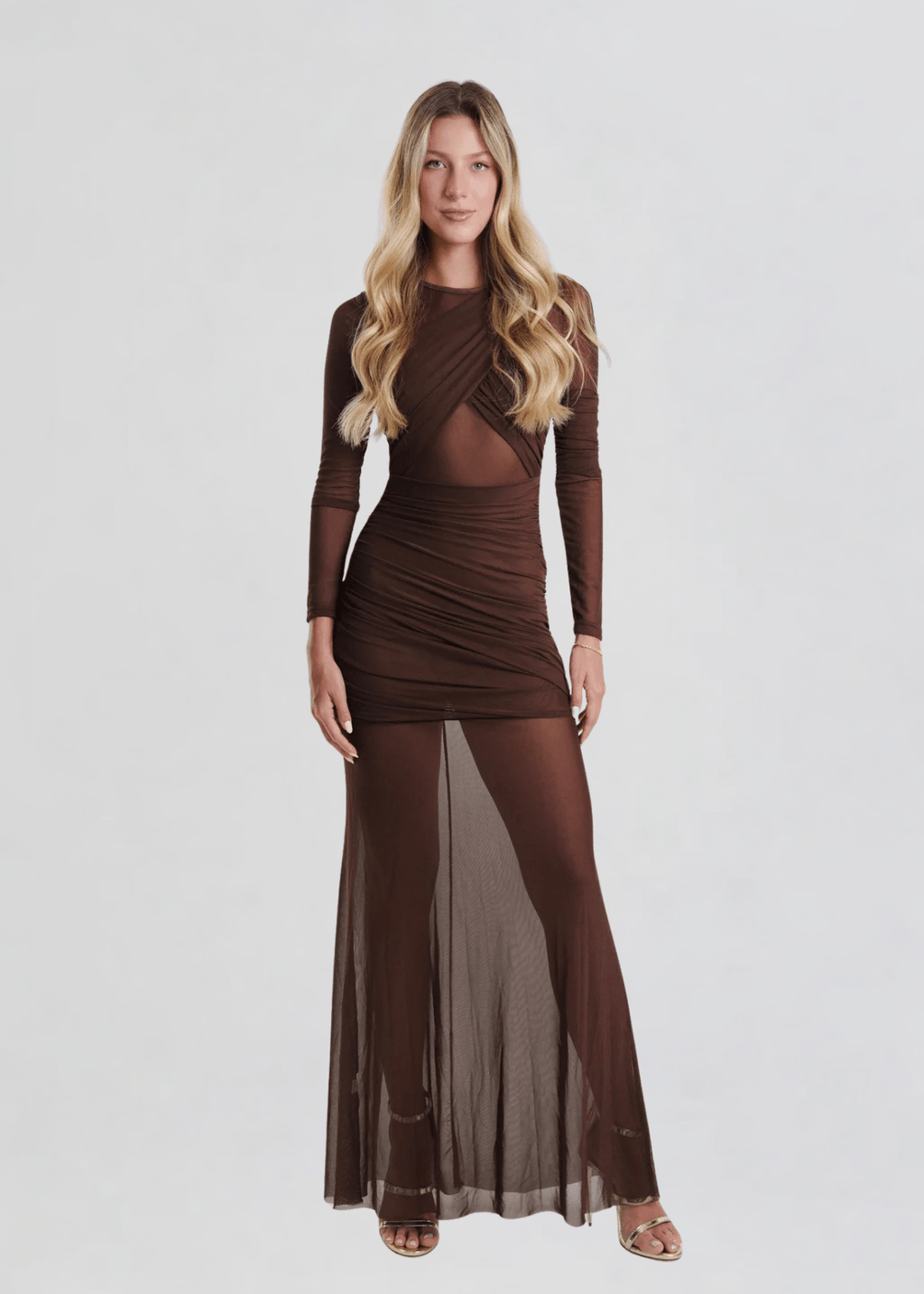 Eva Mesh Maxi Dress in Brown M / Brown