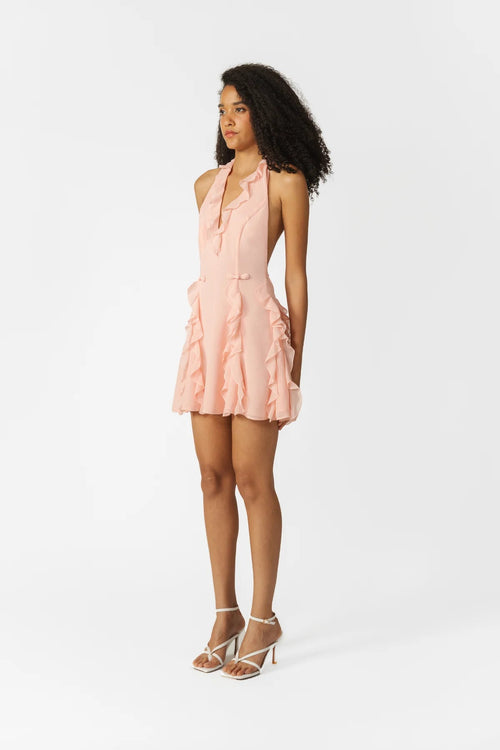 Fefe Ruffled Mini Dress in Baby Pink - Ché by Chelsey